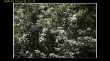 Aielo de Rugat SL-CV43-091.jpg