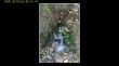 Aielo de Rugat SL-CV43-114.jpg