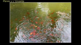 Monasterio de la Murta-51.jpg