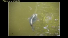 Monasterio de la Murta-52.jpg