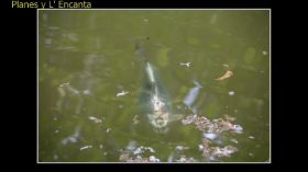 Monasterio de la Murta-54.jpg