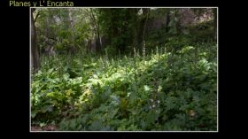 Monasterio de la Murta-67.jpg