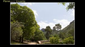 Monasterio de la Murta-68.jpg