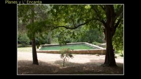 Monasterio de la Murta-72.jpg