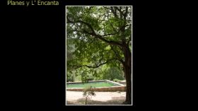 Monasterio de la Murta-74.jpg