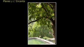 Monasterio de la Murta-75.jpg