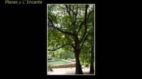 Monasterio de la Murta-76.jpg