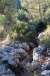 07122013-IMG_4575.jpg