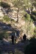07122013-IMG_4639.jpg