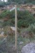 07122013-IMG_4644.jpg