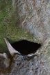 07122013-IMG_4657.jpg
