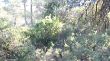07122013-MVI_4570.jpg