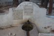 08022014-IMG_4927.jpg