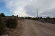 08022014-IMG_4939.jpg