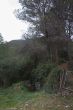 01032014-IMG_5134.jpg