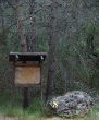 01032014-IMG_5167.jpg