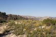 08032014-IMG_5259.jpg