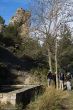 05042014-IMG_5501.jpg