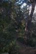 05042014-IMG_5512.jpg