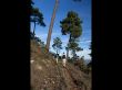 Benicadell-01.jpg